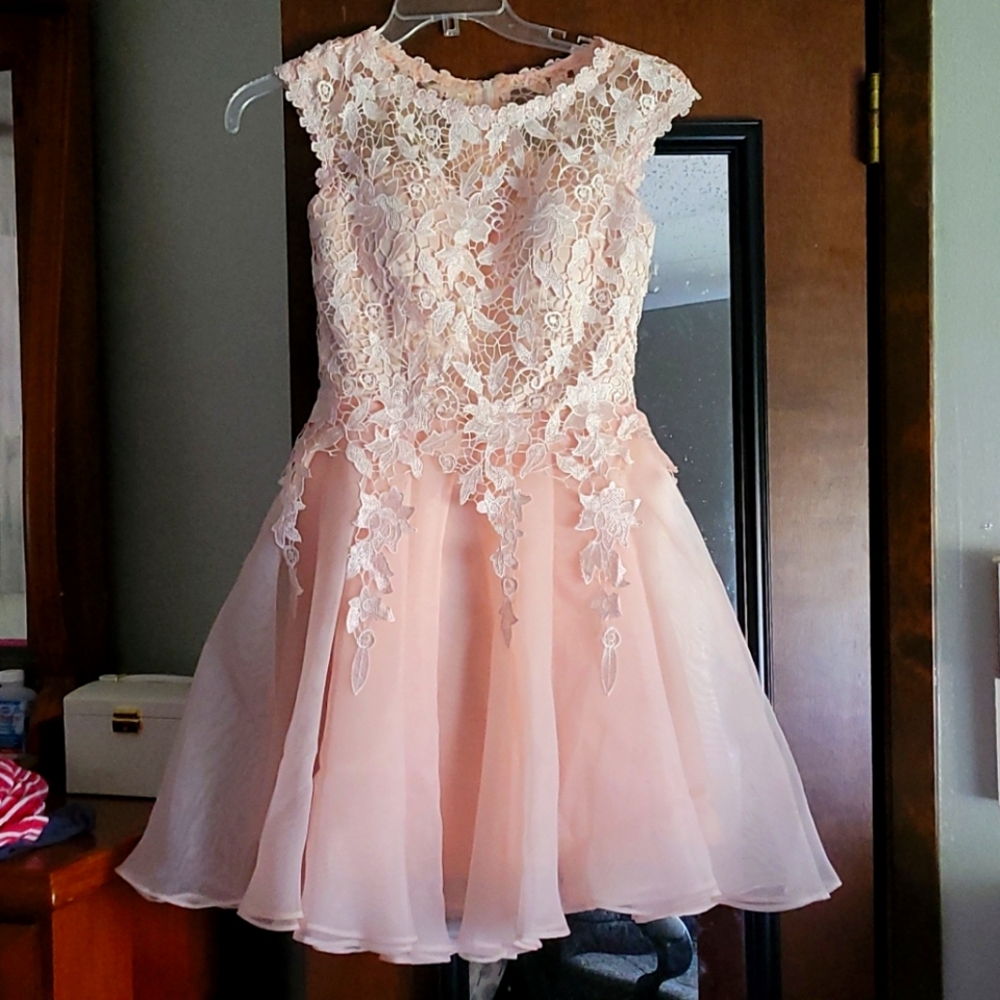 Blush pink lace homecoming dress.